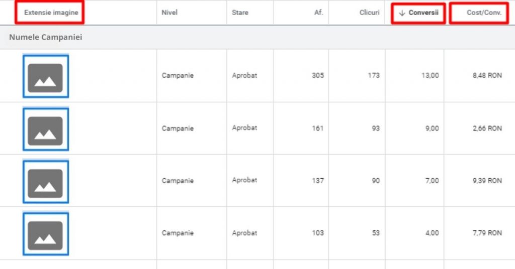 Rezultate Extensii Imagine Google Ads